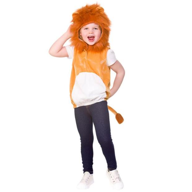 Wicked Costumes Lion Hooded Tabard Child Fancy Dress  |   Animal Animal Animal